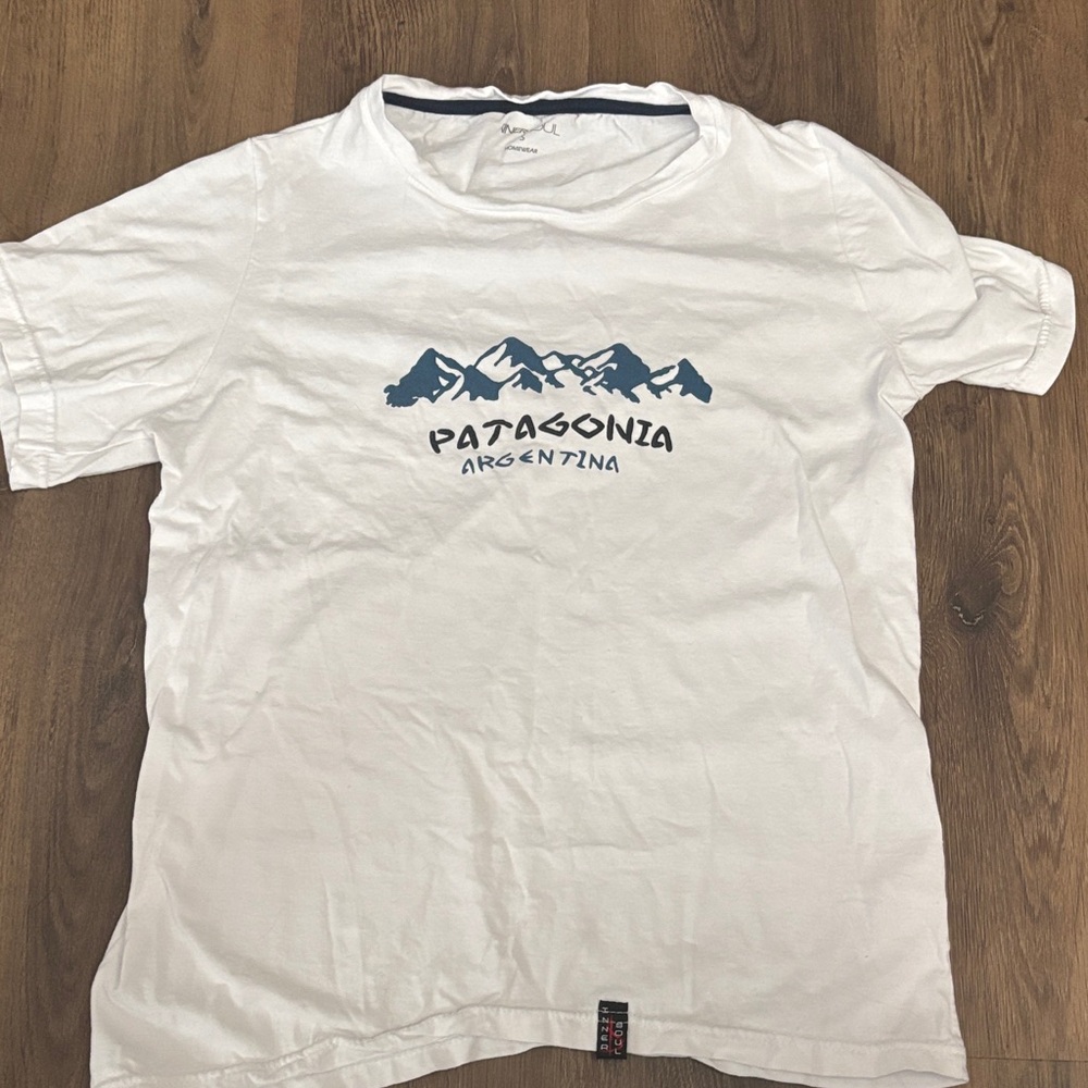 Patagonia White and Blue Mountain Tee